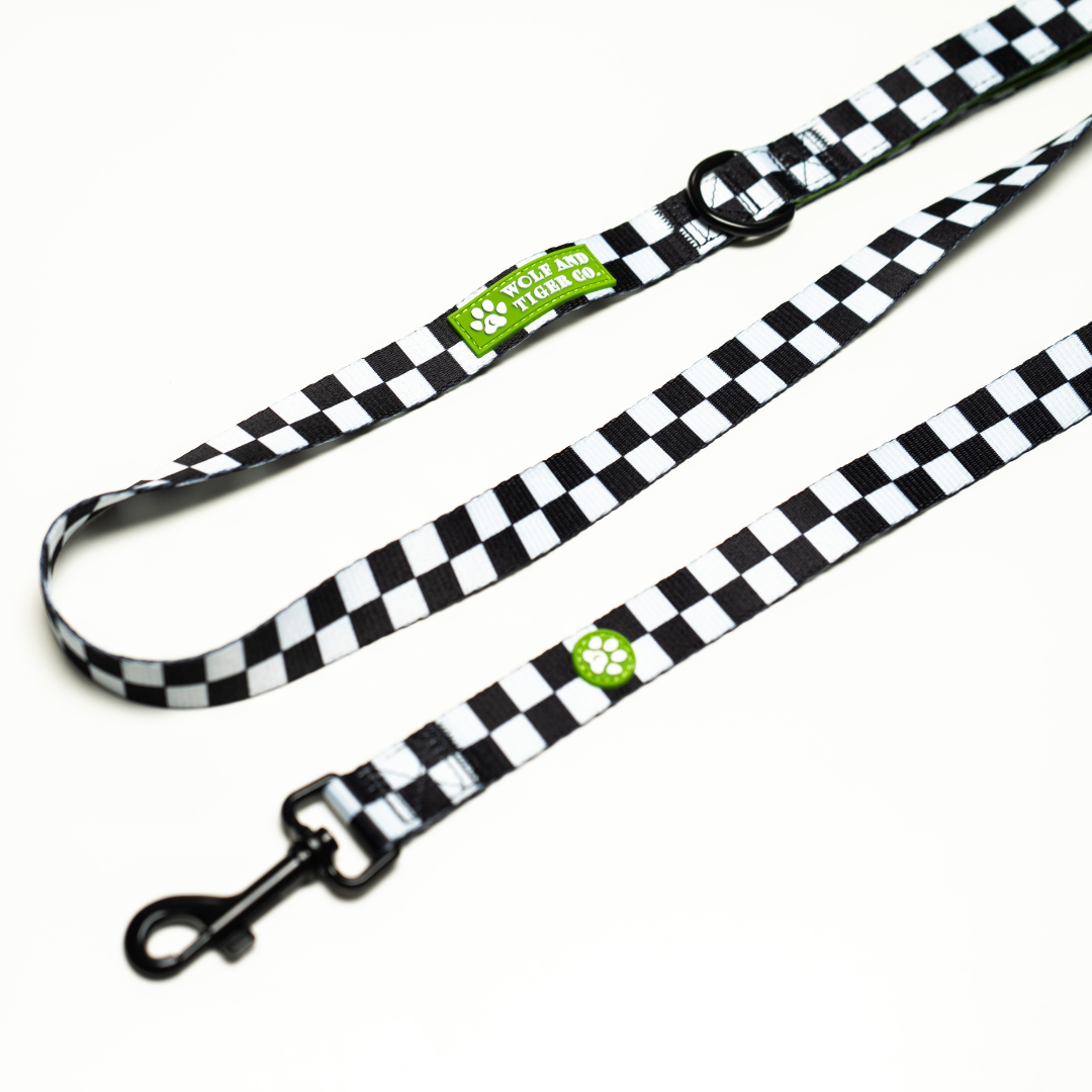 Bark Tour- Leash