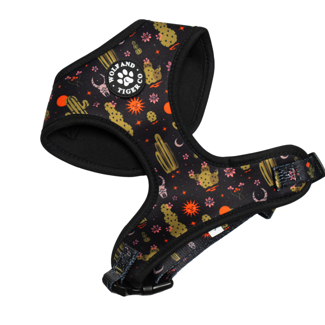 Death Valley Bundle