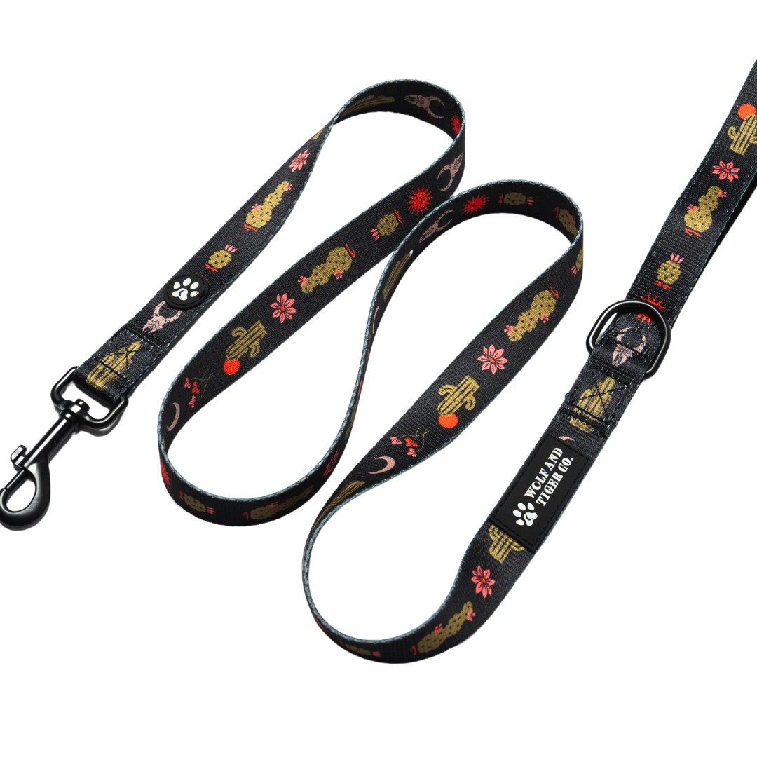 Death Valley Leash-SOLD OUT RELAUNCHING JULY 10TH