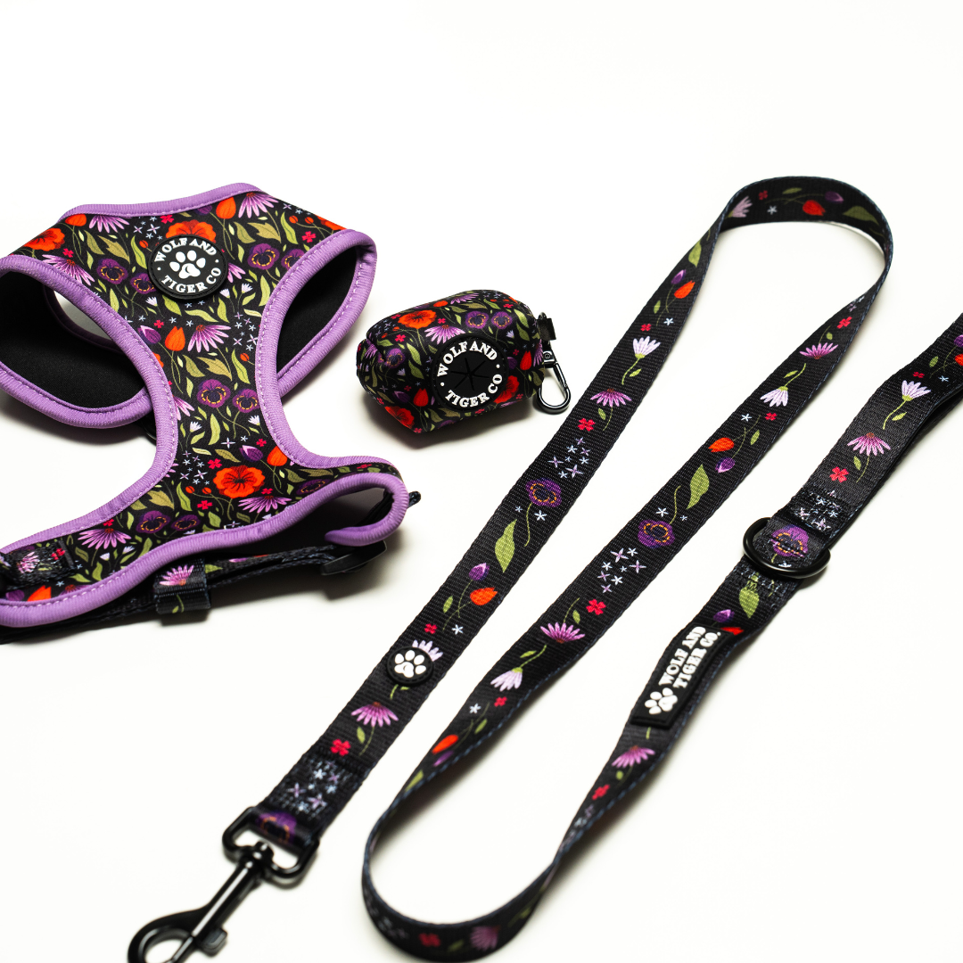 Moonlit Meadow- Leash