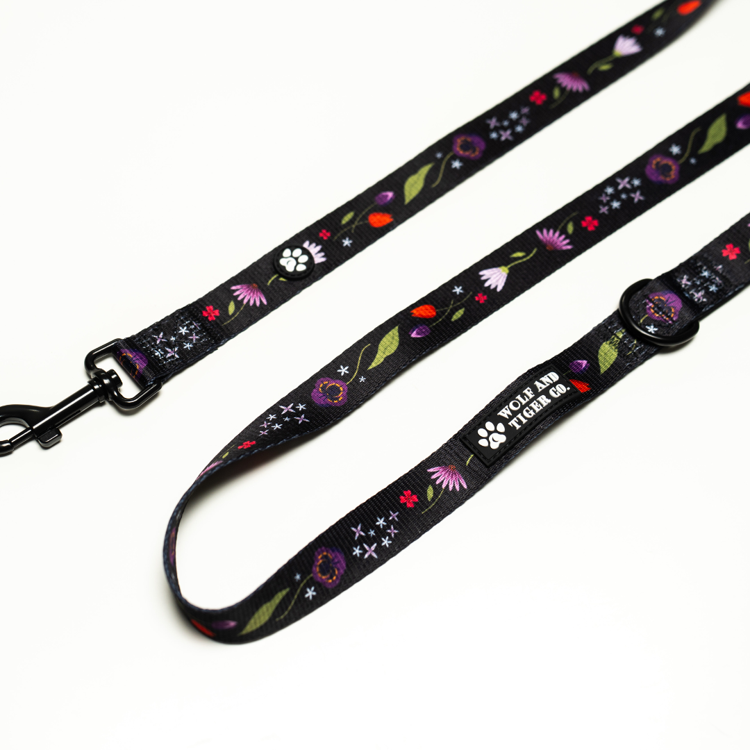 Moonlit Meadow- Leash
