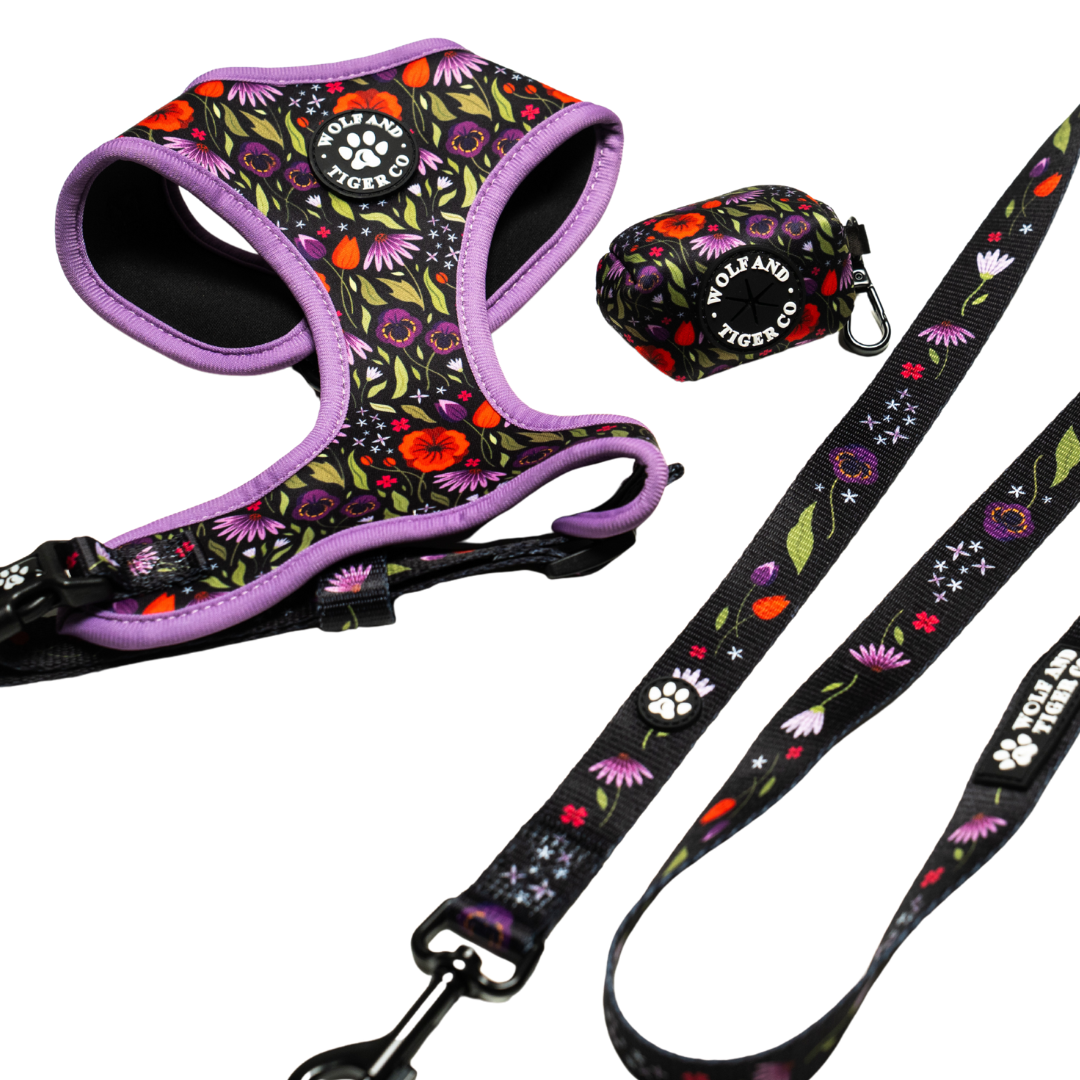 Moonlit Meadow- Bundle