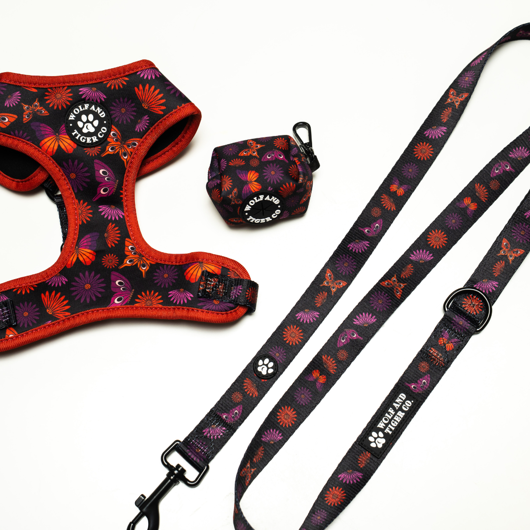 Night Garden- Leash