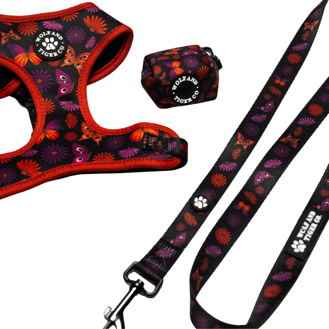Night Garden- Harness