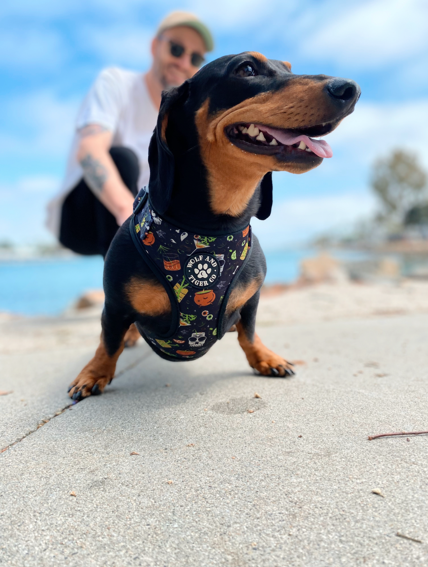 Spooky Tiki Harness