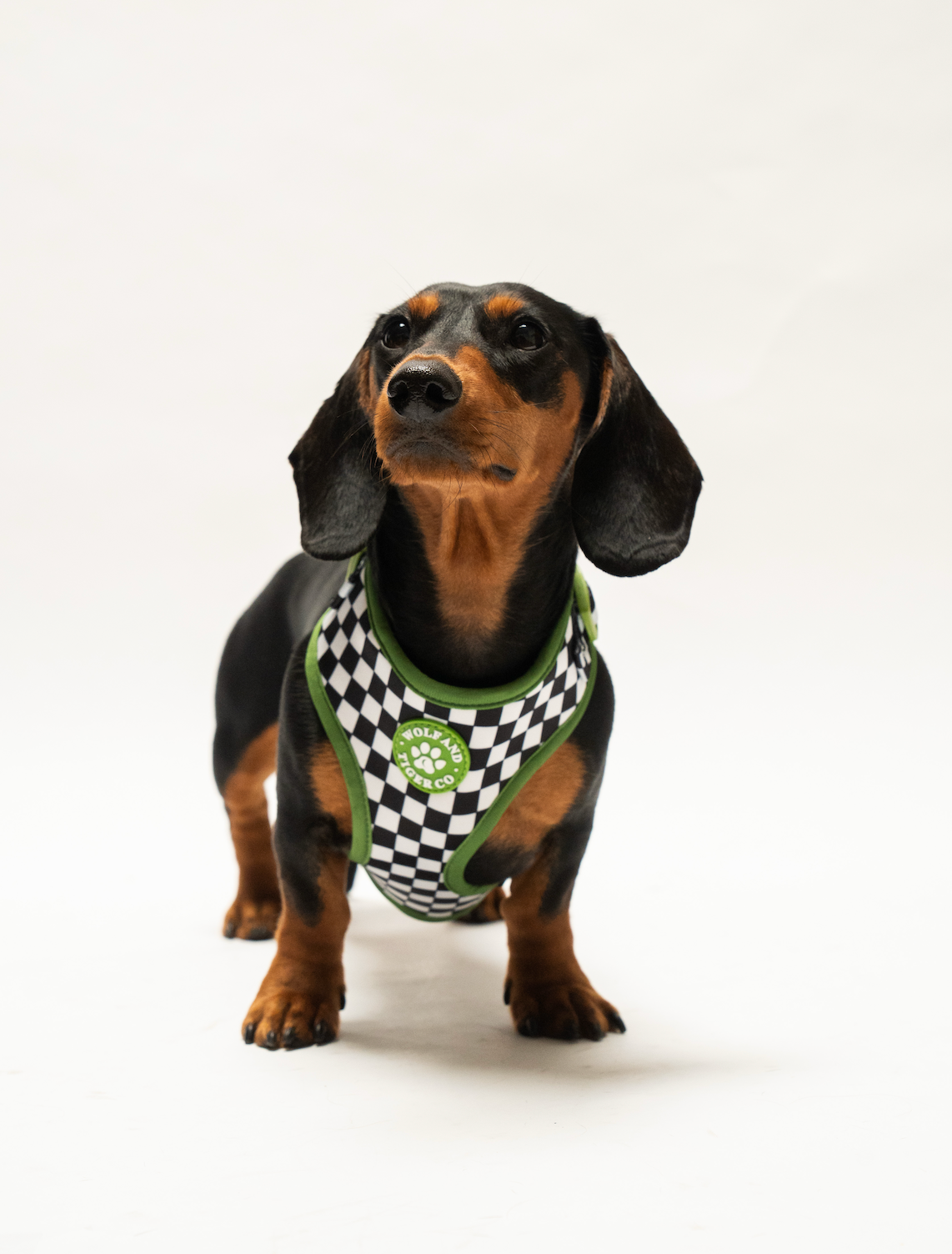 Bark Tour- Bundle