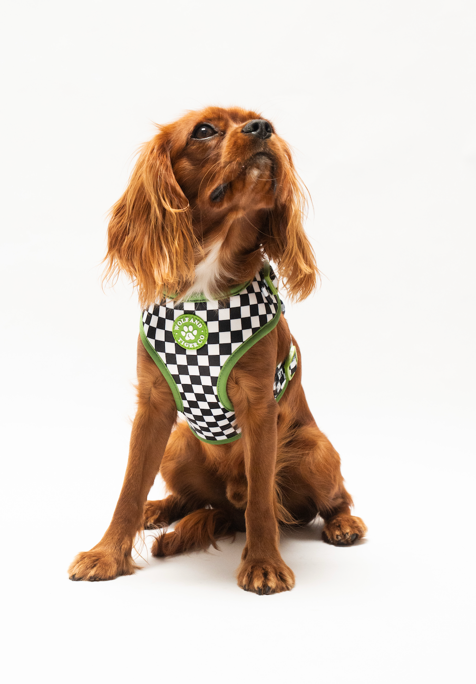 Bark Tour- Bundle