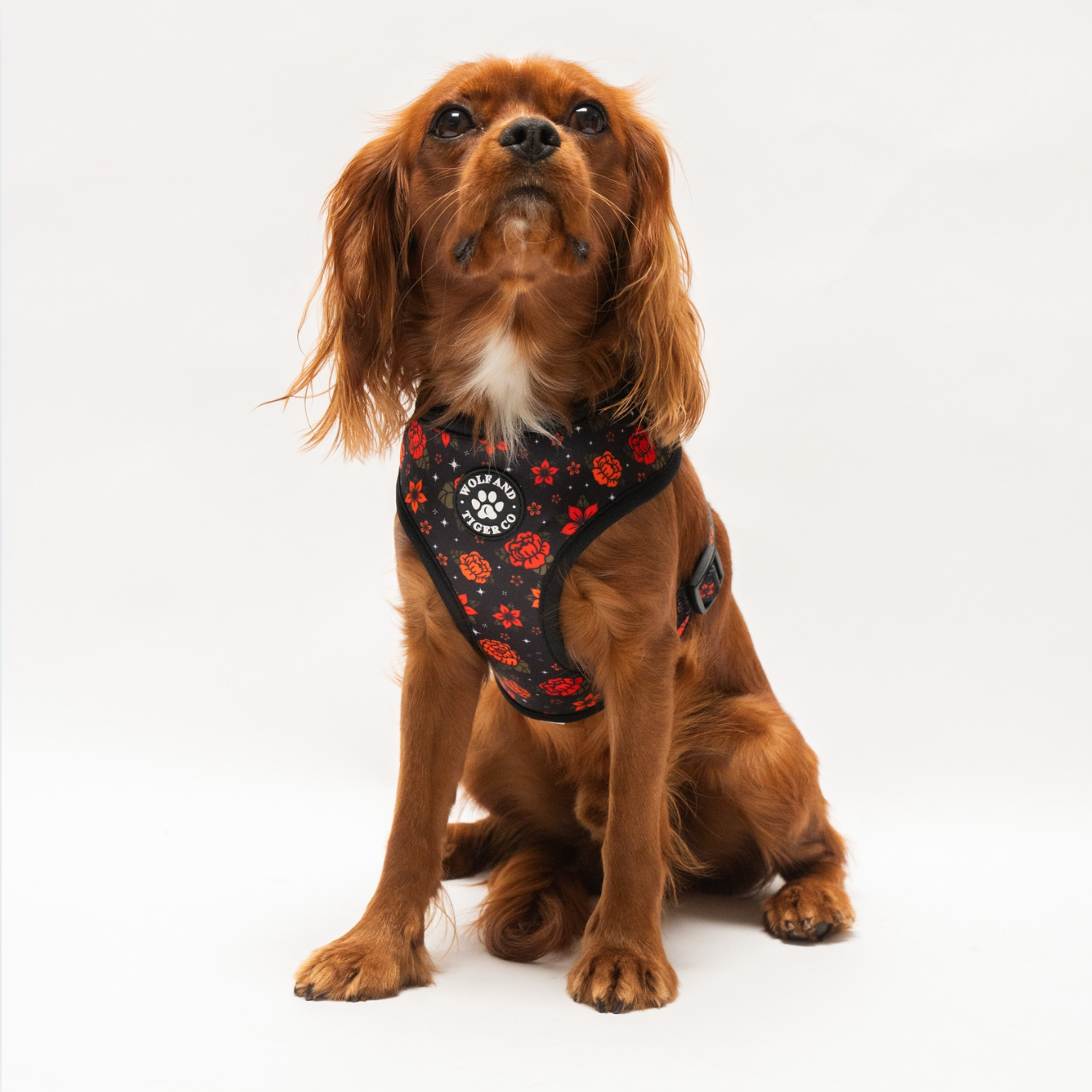 Floral Fever Harness