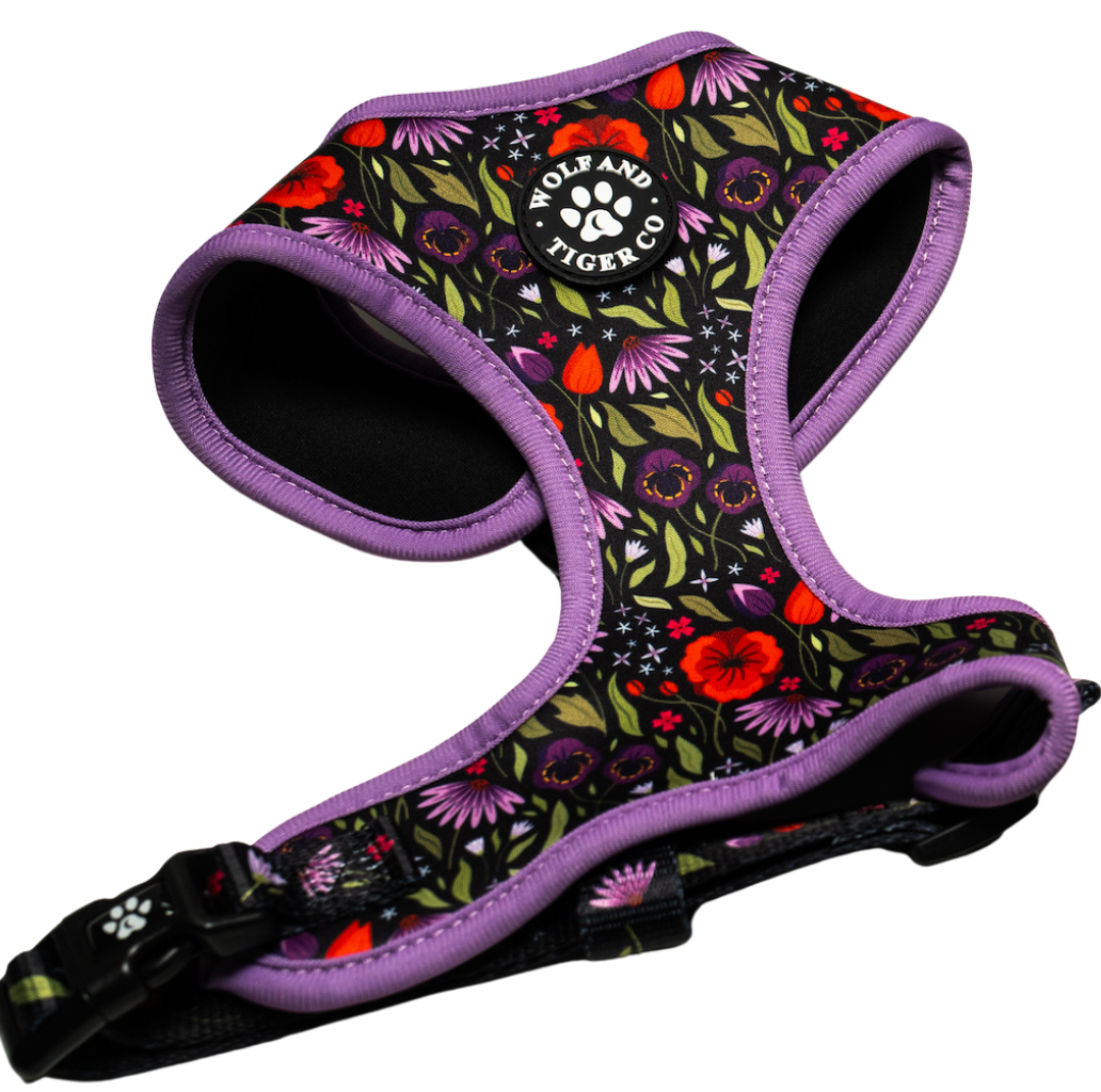 Moonlit Meadow- Harness