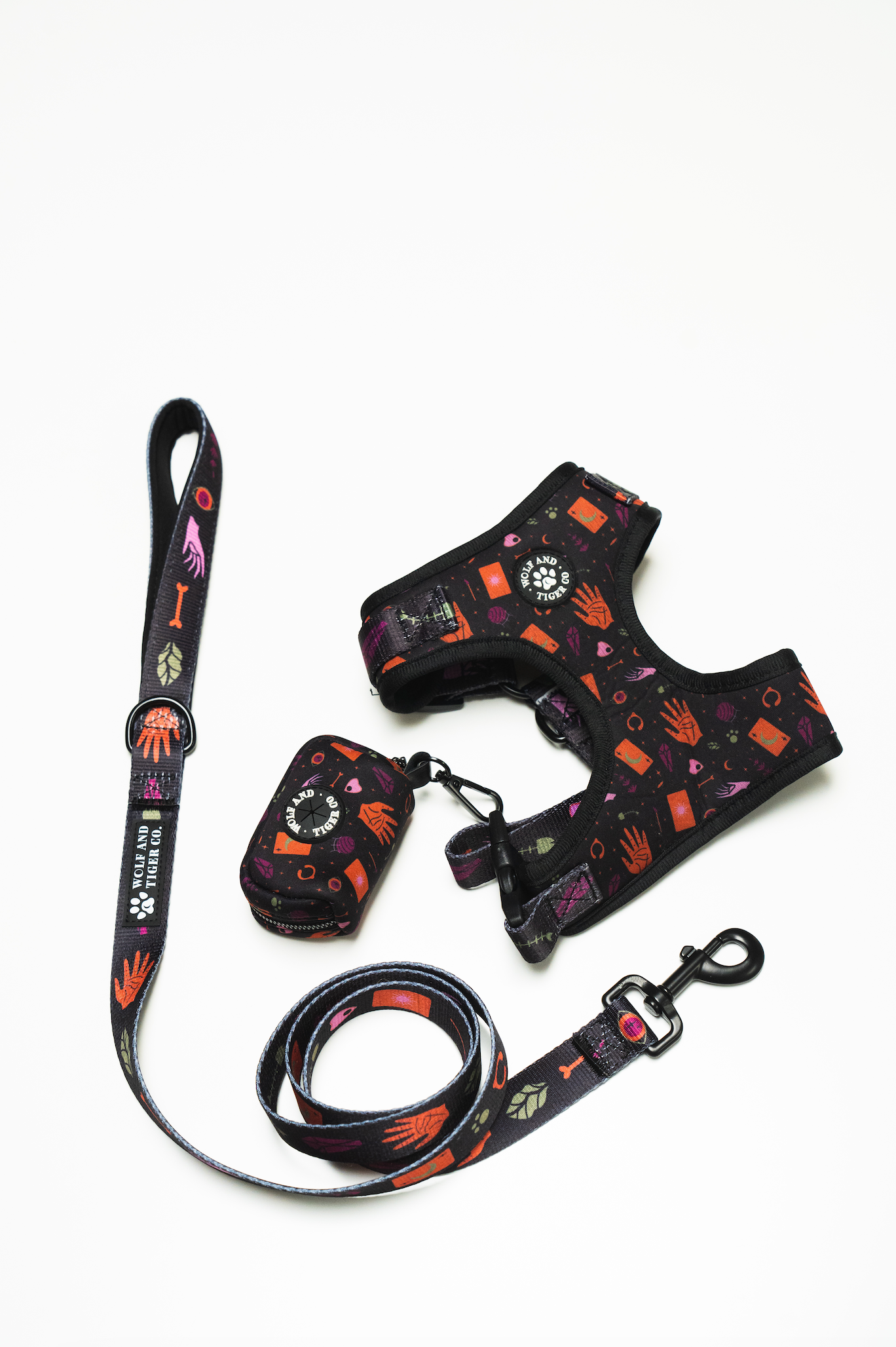 Paw-Reader Bundle