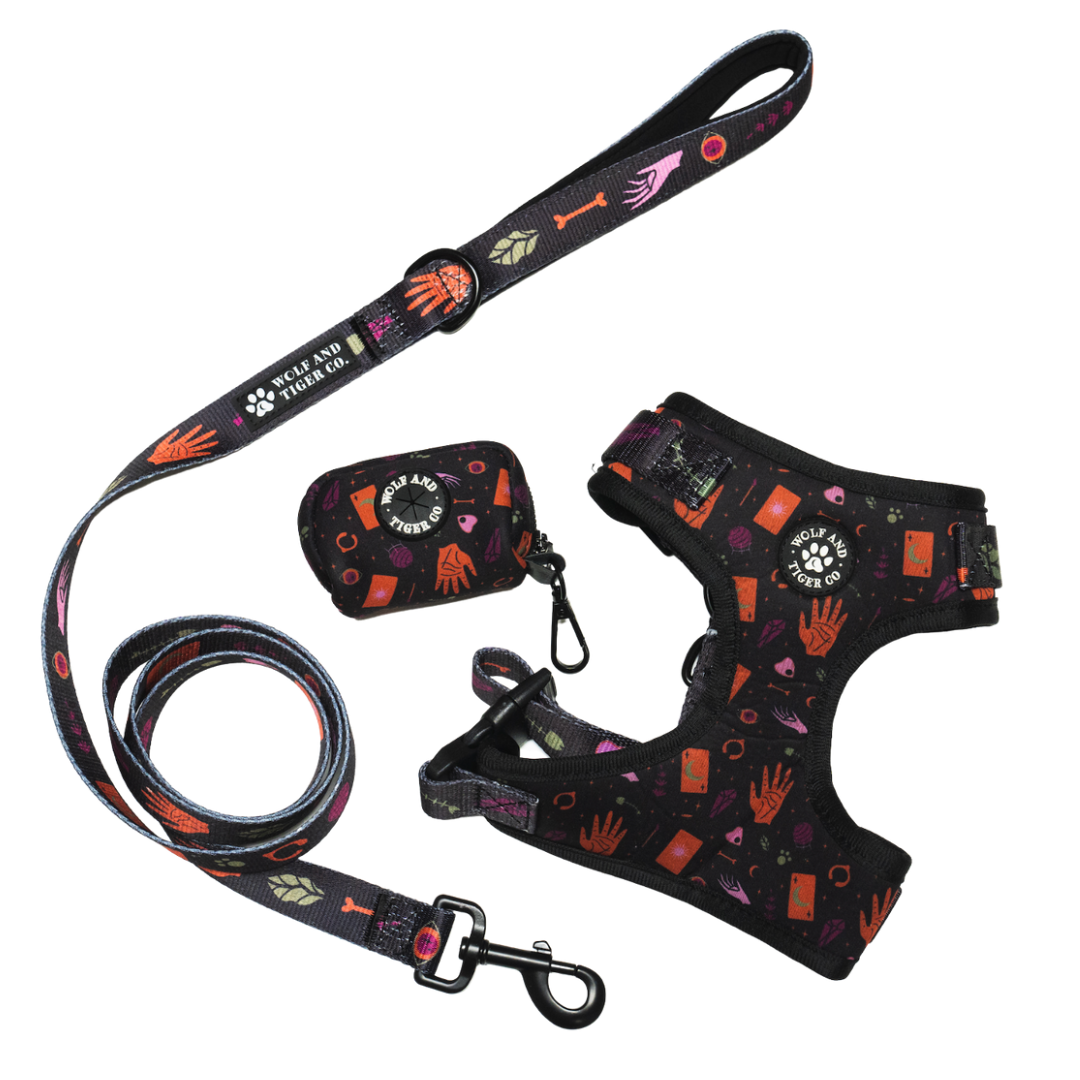 Paw-Reader Bundle