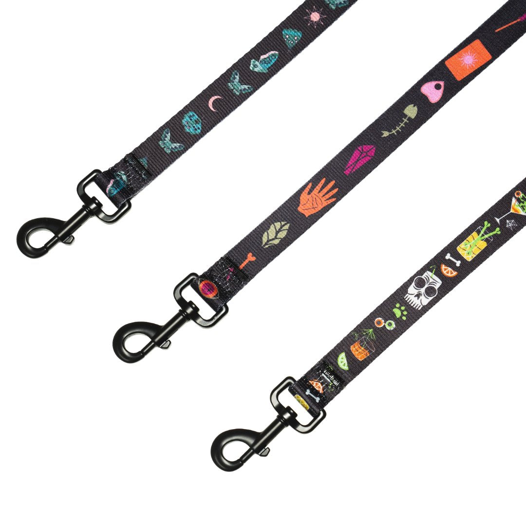 Leashes