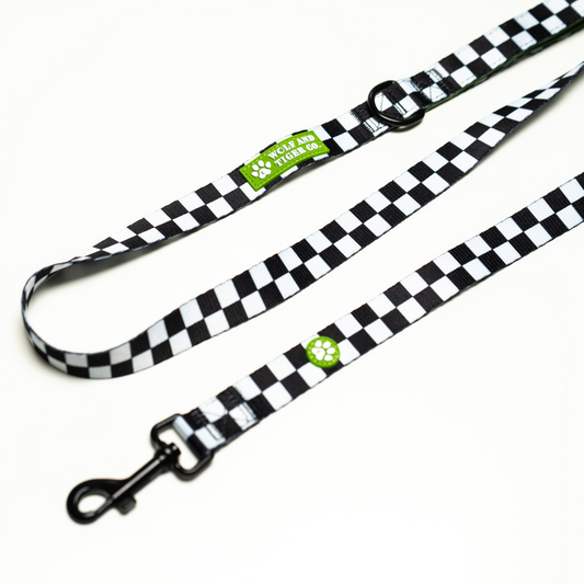 Bark Tour- Leash