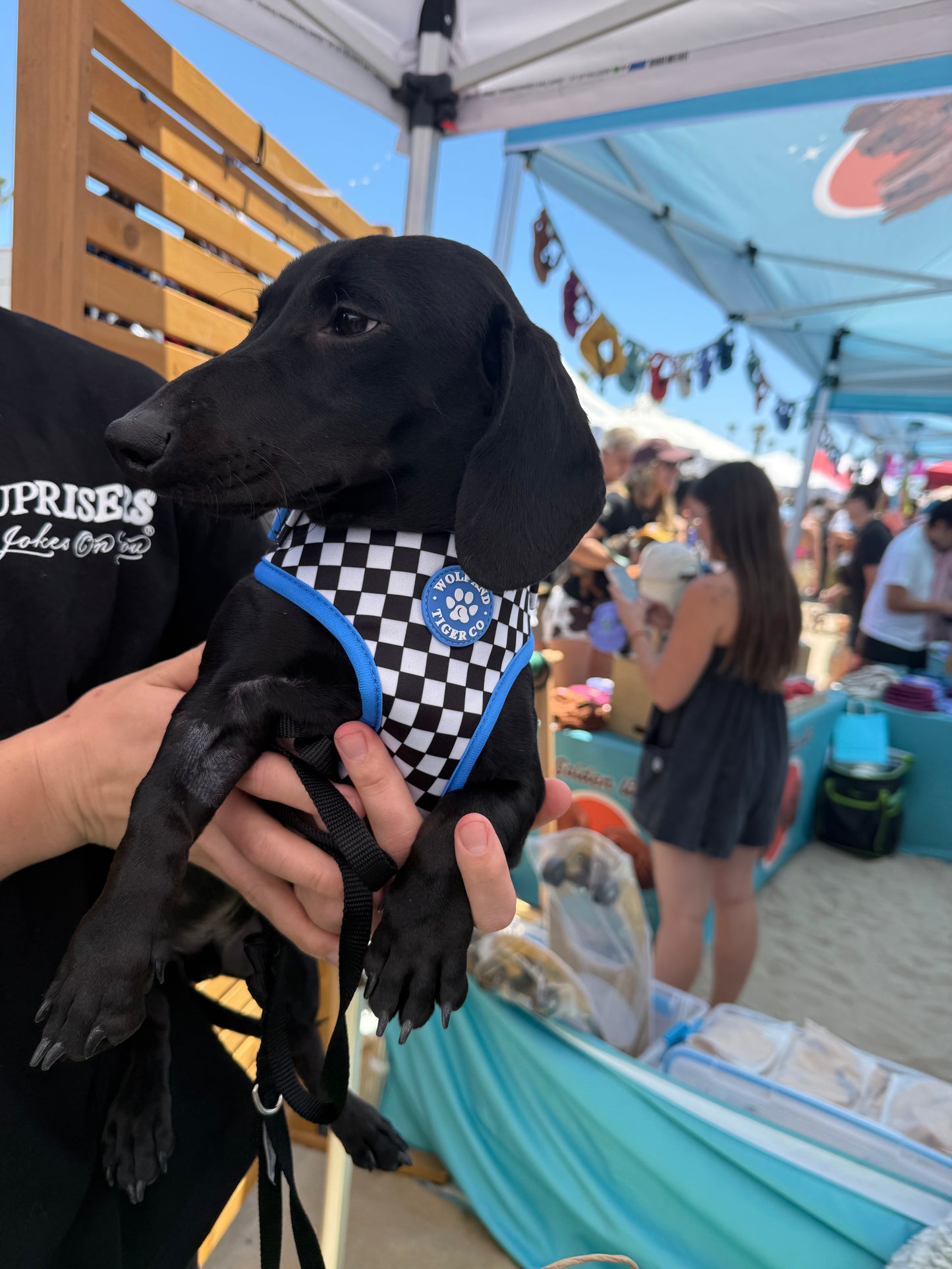 Bark Tour- EMO FUREVER Bundle