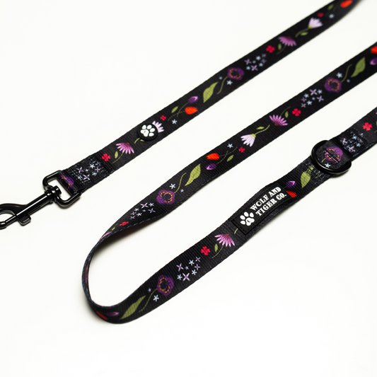 Moonlit Meadow- Leash
