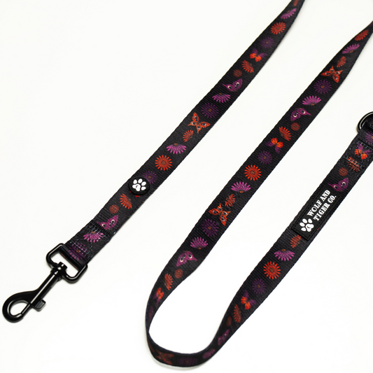 Night Garden- Leash
