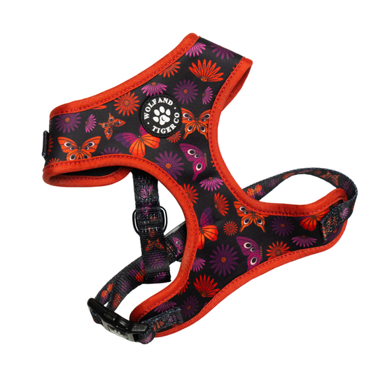 Night Garden- Harness