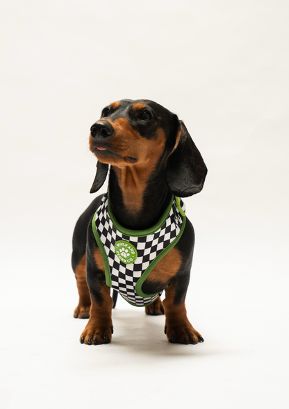 Bark Tour Harness