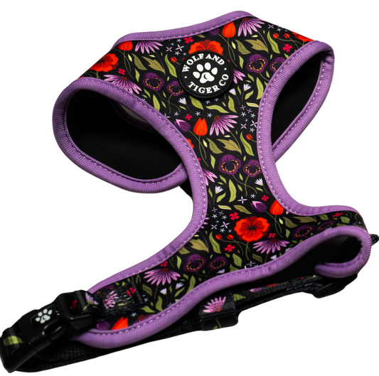 Moonlit Meadow- Harness